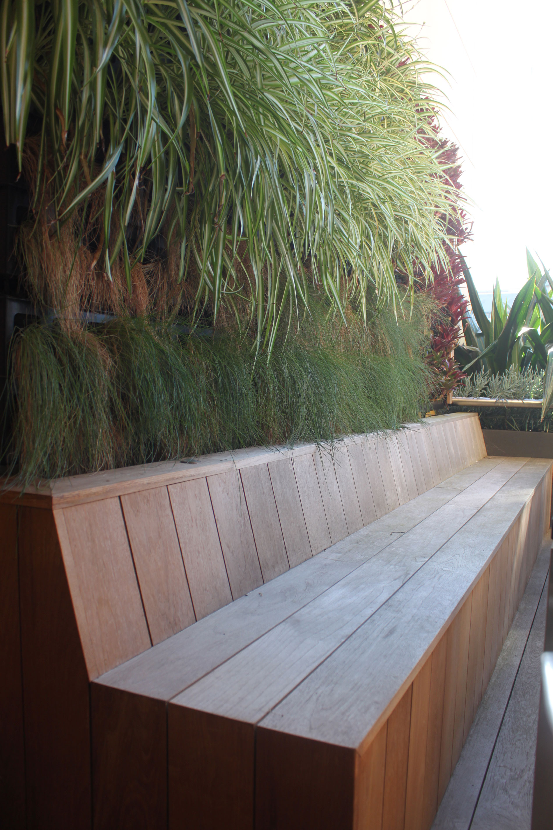 Bench seat against growing wall