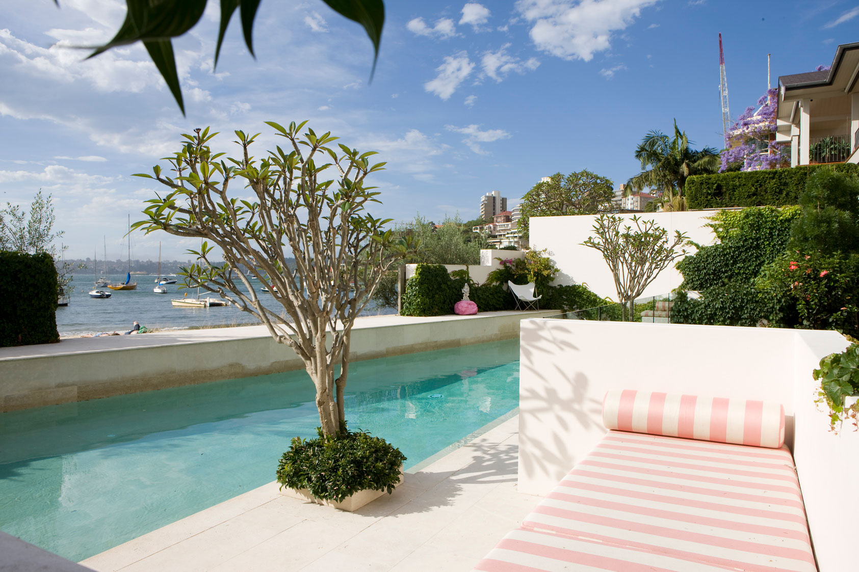 Planter by pool and day bed