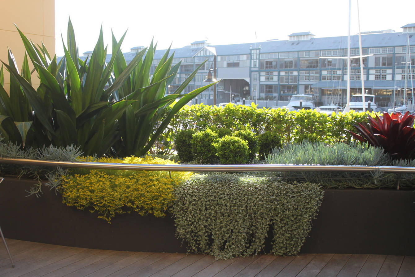 Balcony Gardens