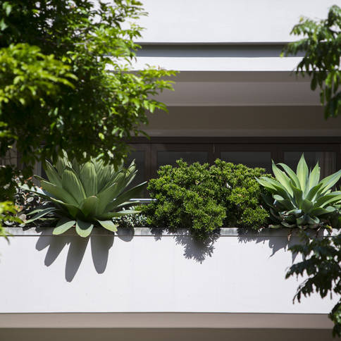 Lush Courtyard